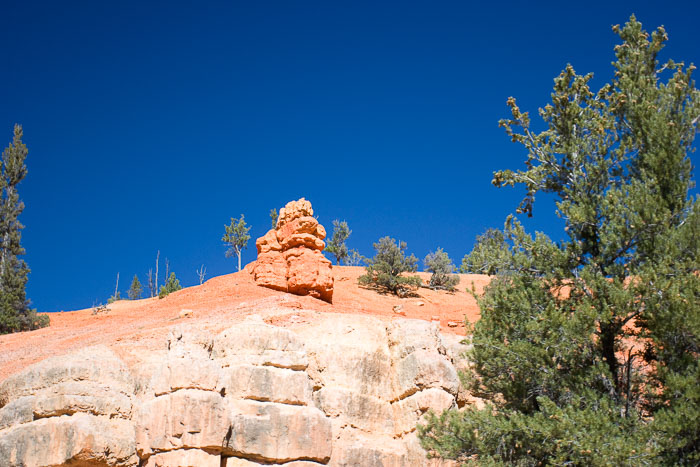 Capitol Reef National Park