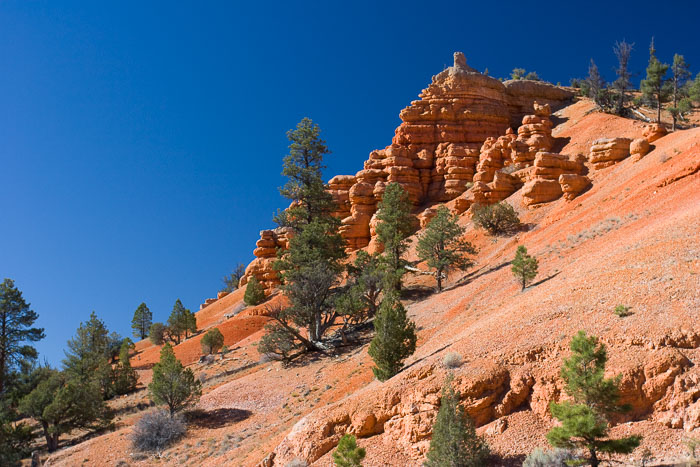 Capitol Reef National Park
