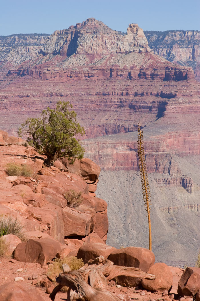 Grand Canyon National Park