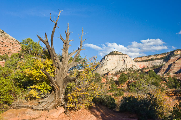 Zion National Park Zion National Park