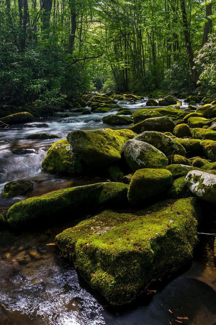 National Parks, Monuments, and Forests