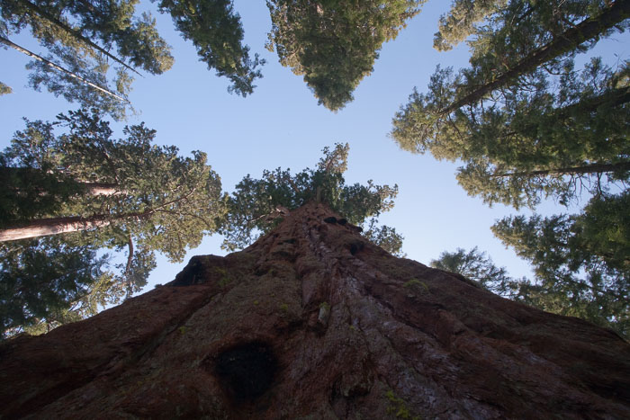 National Parks, Monuments, and Forests