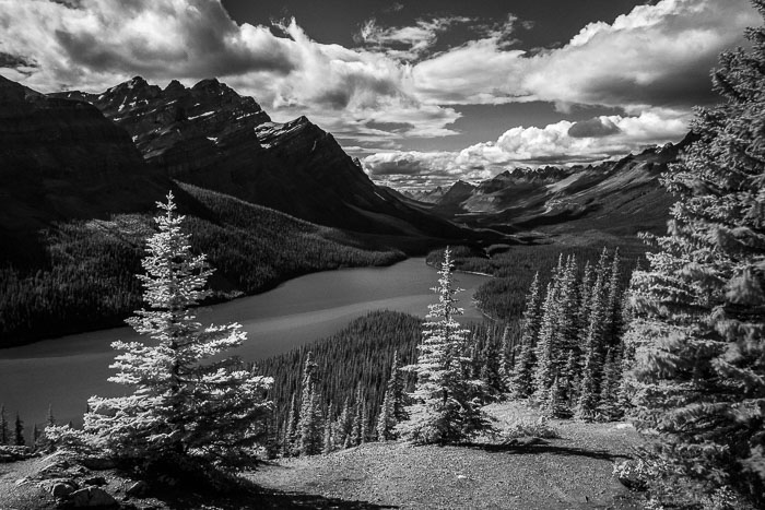 National Parks, Monuments, and Forests