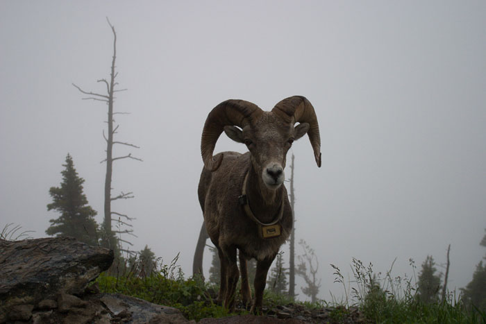 National Parks, Monuments, and Forests National Parks, Monuments, and Forests