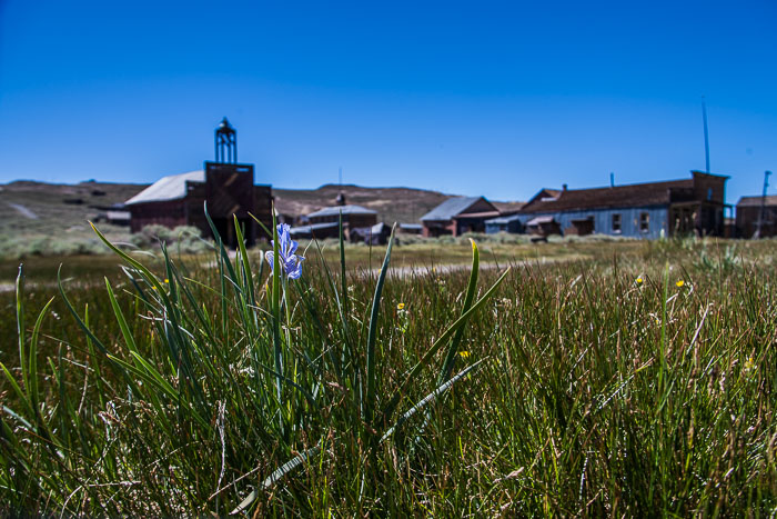 Bodie Ghost Town (color)