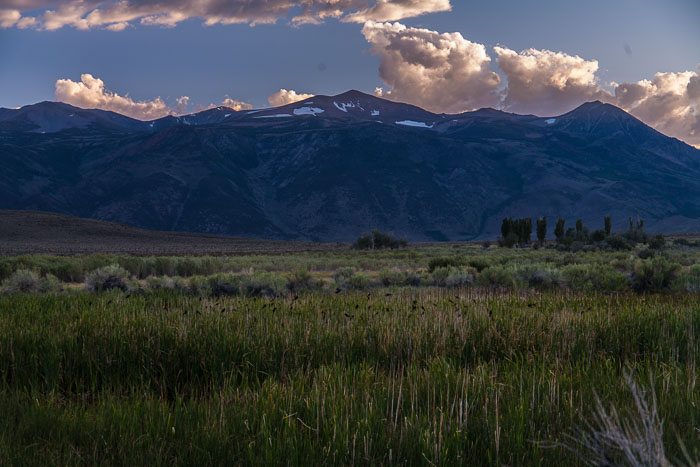 Mono Lake Area