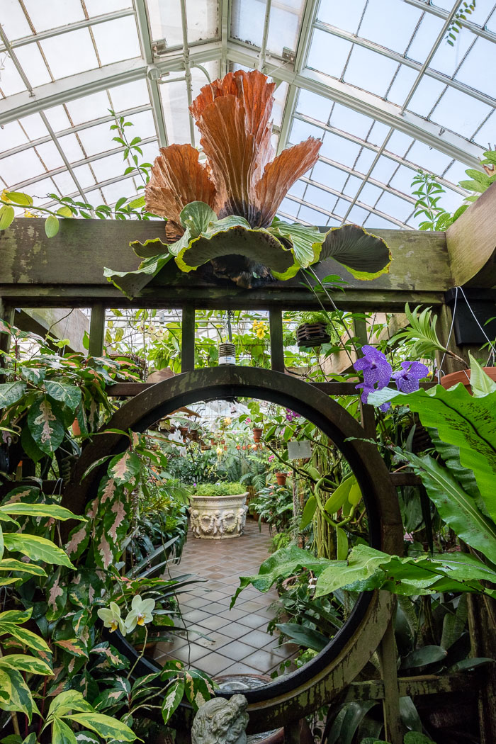 Conservatory of flowers