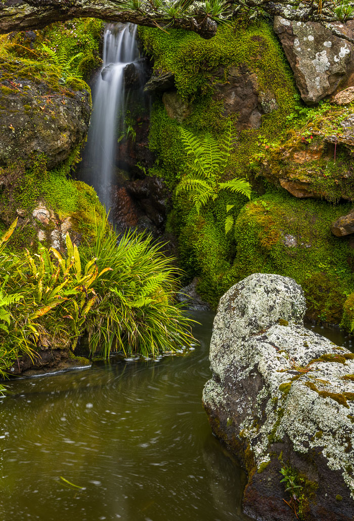 Japanese Tea Garden - Golden Gate Park