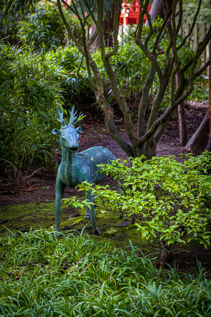 Japanese Tea Garden - Golden Gate Park