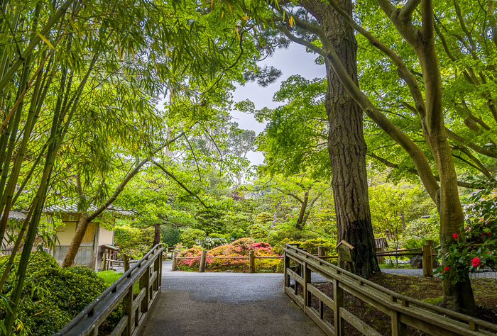 Japanese Tea Garden - Golden Gate Park