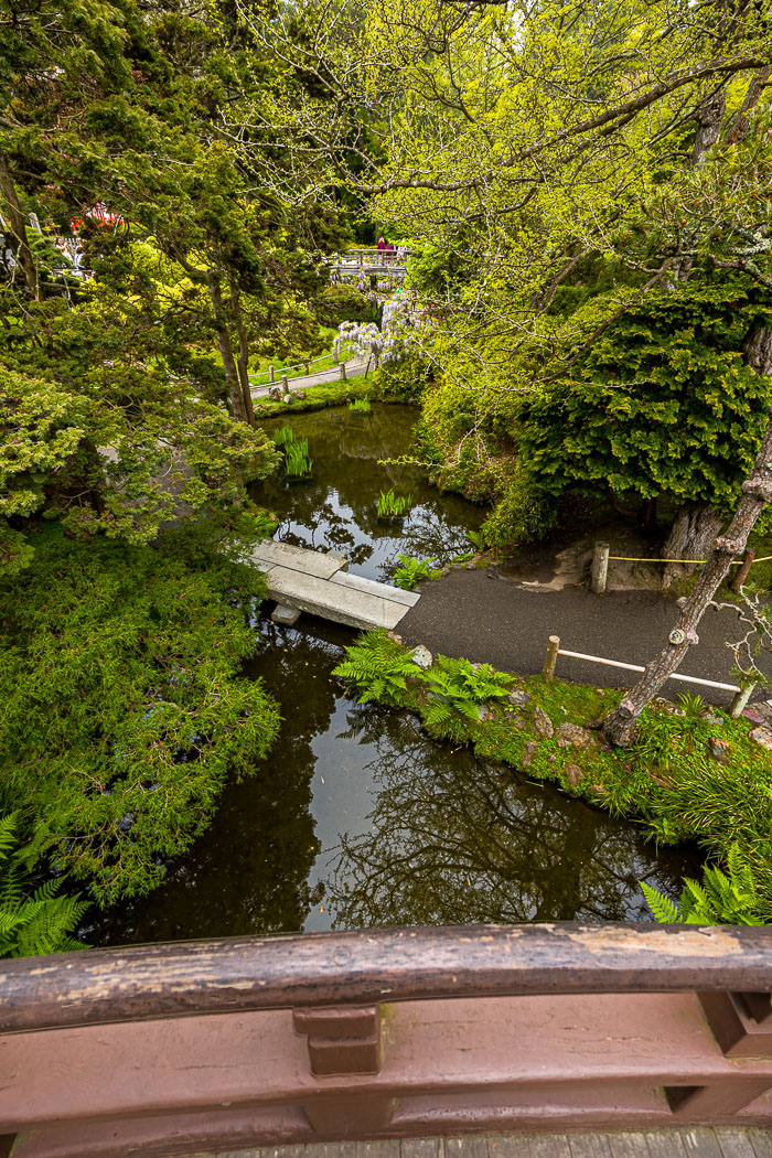 Japanese Tea Garden - Golden Gate Park
