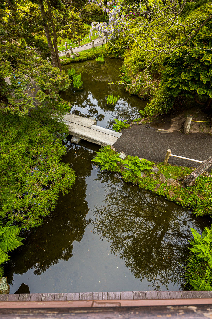 Japanese Tea Garden - Golden Gate Park