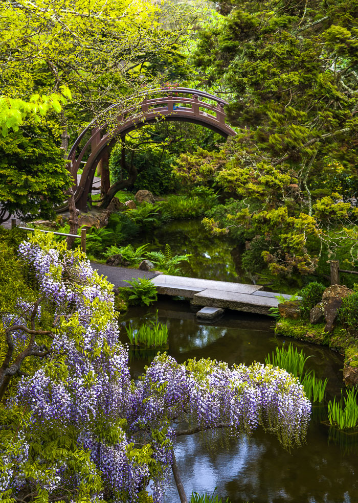 Japanese Tea Garden - Golden Gate Park Japanese Tea Garden - Golden Gate Park