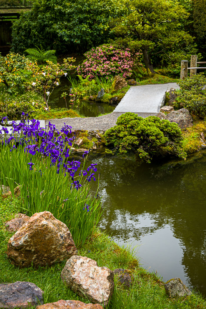 Japanese Tea Garden - Golden Gate Park