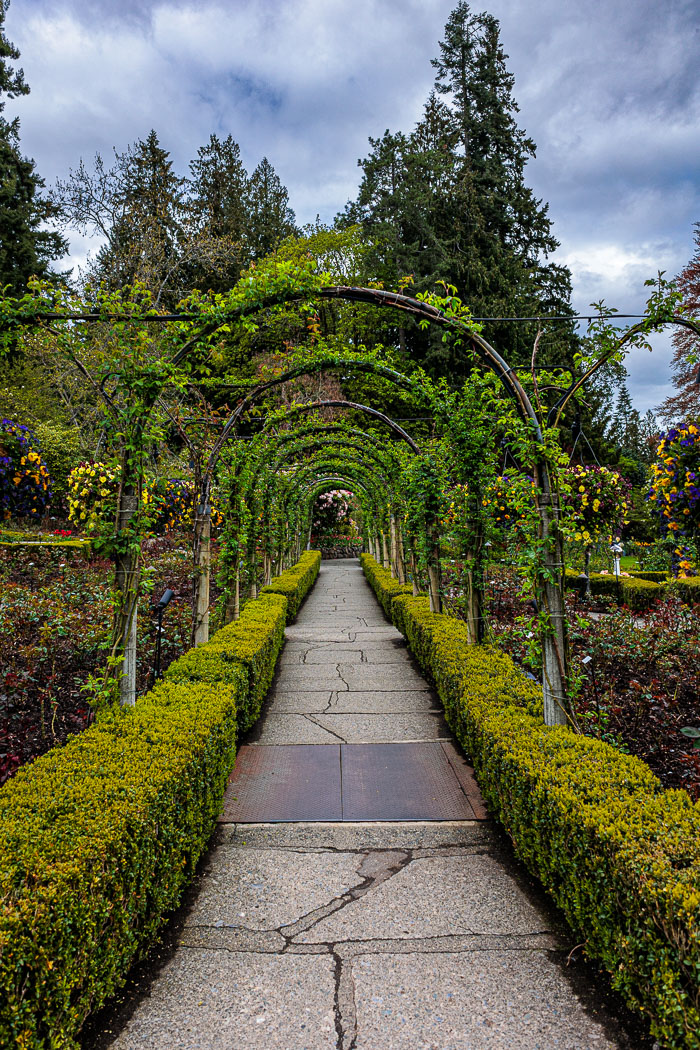 Buchart Gardens