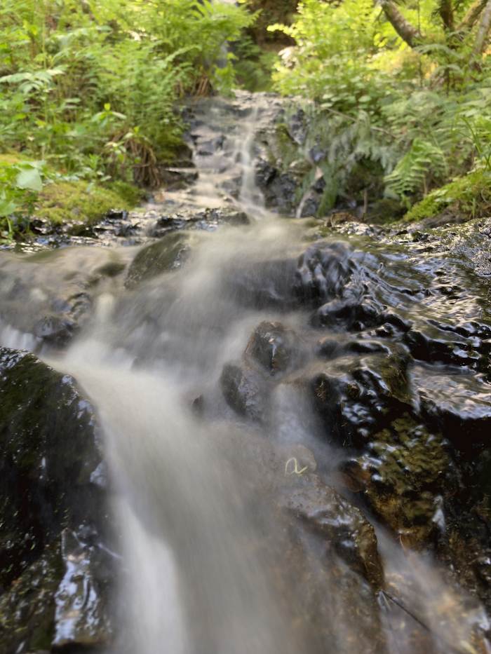 Estacada River Trail