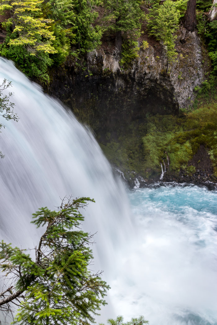 Mckenzie River Valley