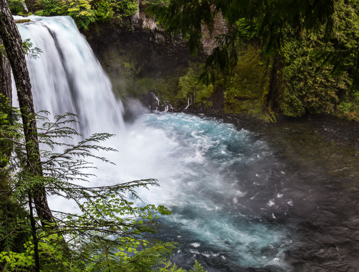 Mckenzie River Valley