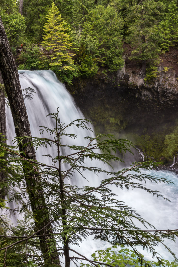 Mckenzie River Valley