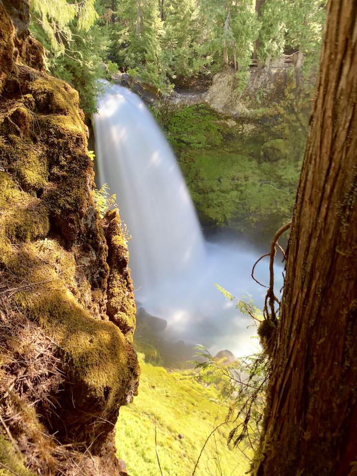 Mckenzie River Valley