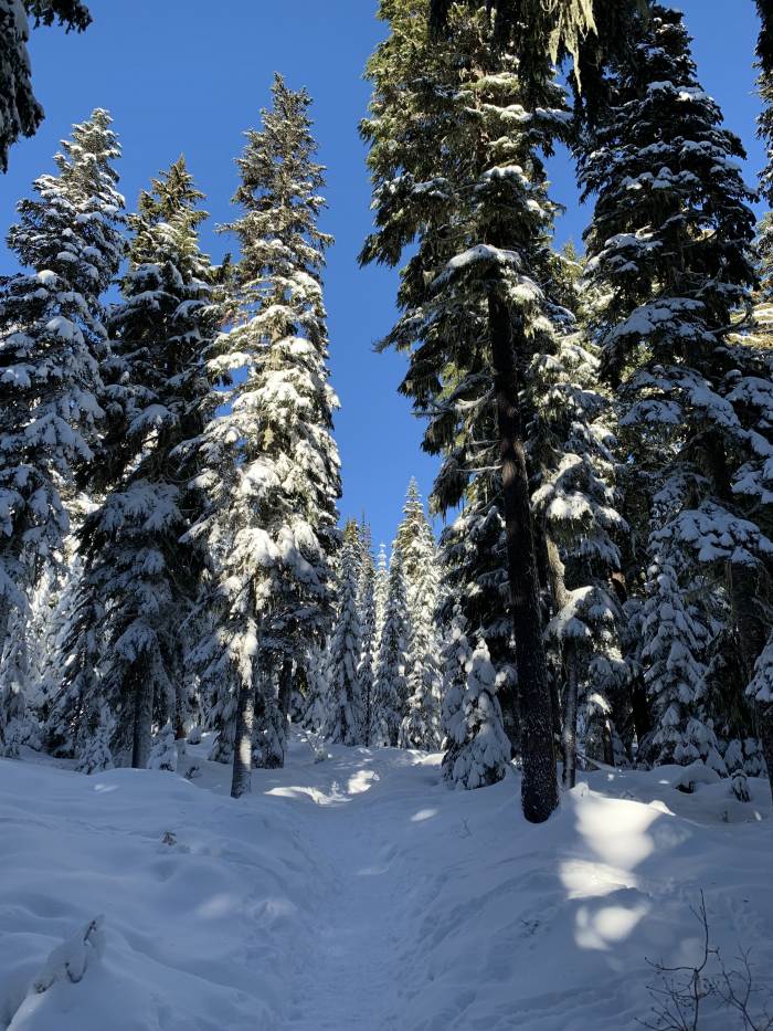 Mt. Hood Winter Mt. Hood Winter
