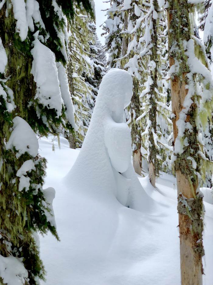 Mt. Hood Winter