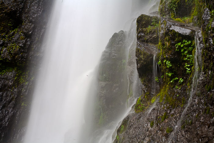 Silver Falls State Park