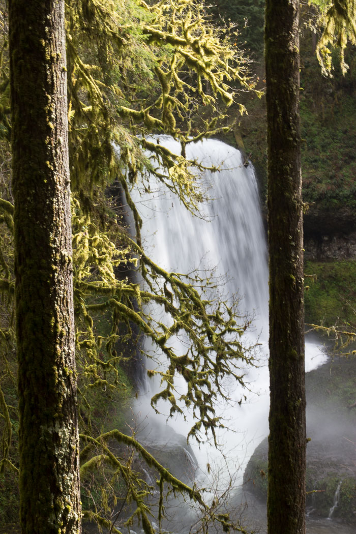 Silver Falls State Park Silver Falls State Park