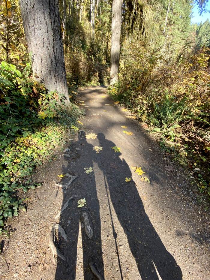 Silver Falls State Park