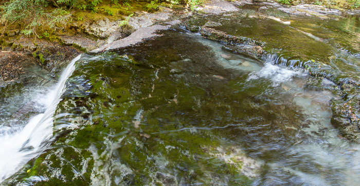 Siouxon Creek Trail