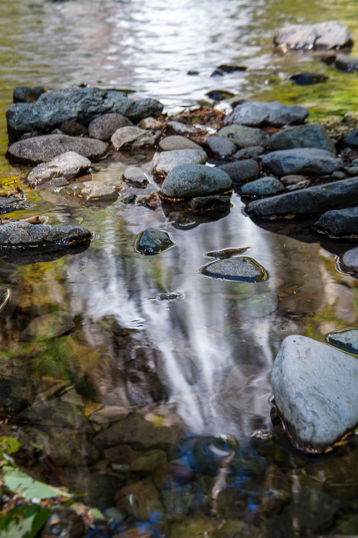 Siouxon Creek Trail