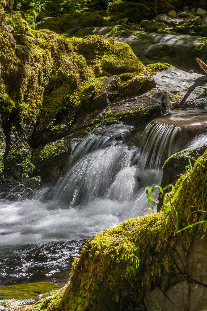 Siouxon Creek Trail