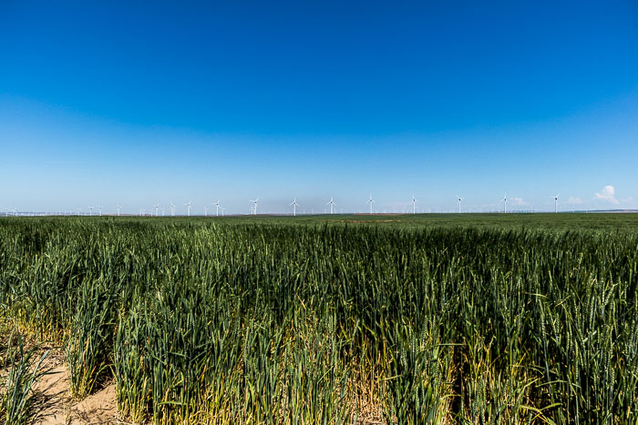 The Painted Hills section of the John Day Fossil beds National Monument