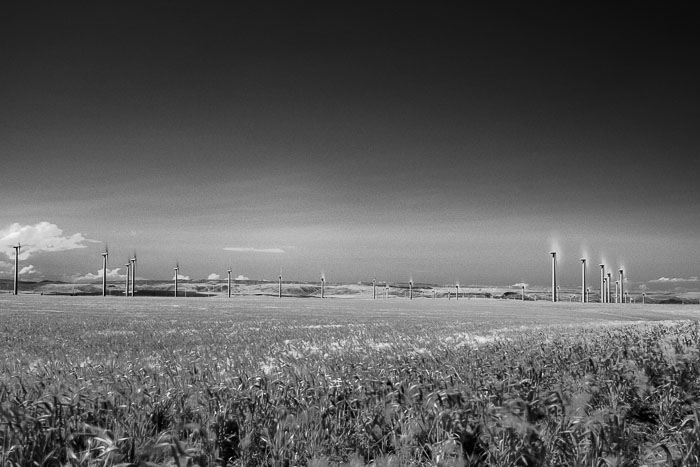 The Painted Hills section of the John Day Fossil beds National Monument