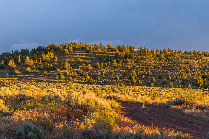 Central Oregon