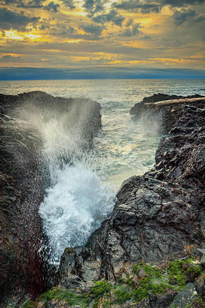 Cape Perpetua