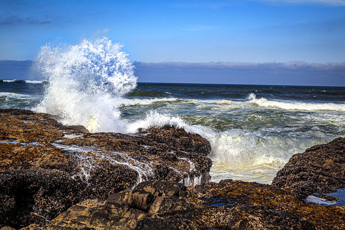 Cape Perpetua