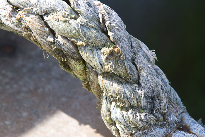 Coos Bay Area Sloughs