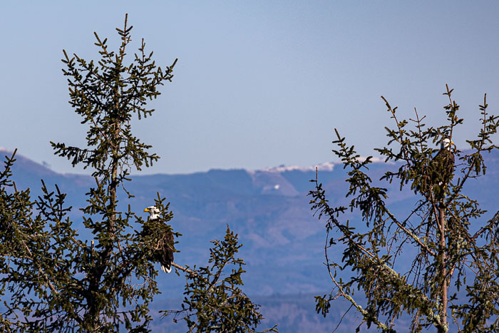 Northern Oregon Coast