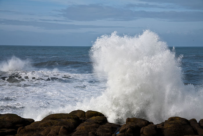 Northern Oregon Coast