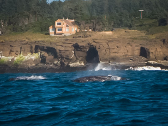 Northern Oregon Coast