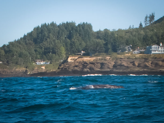 Northern Oregon Coast