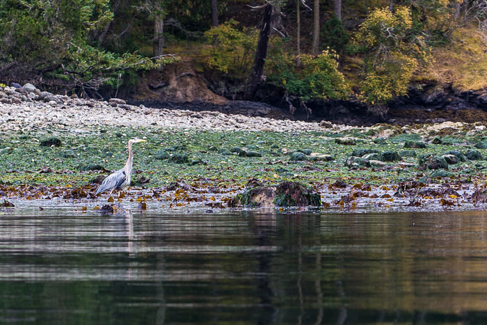 San Juan Islands
