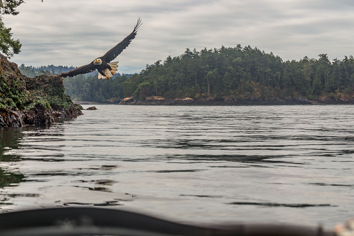 San Juan Islands