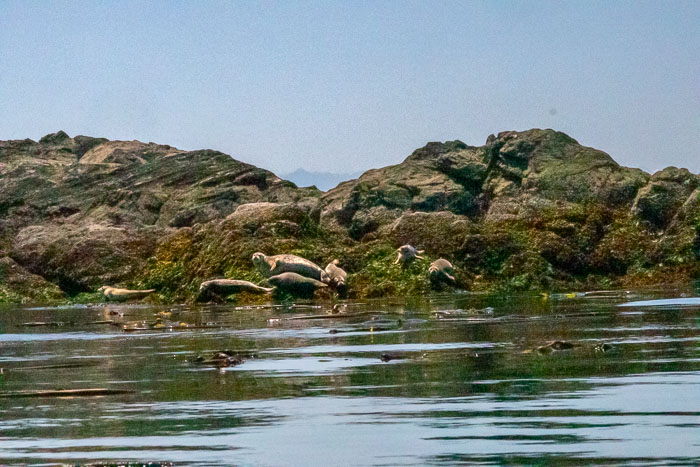 San Juan Islands