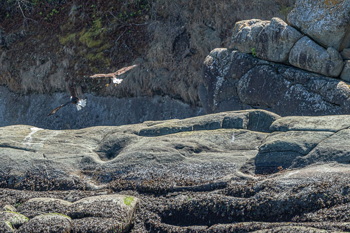 San Juan Islands