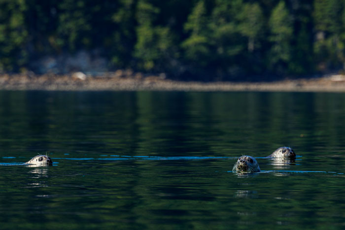 San Juan Islands