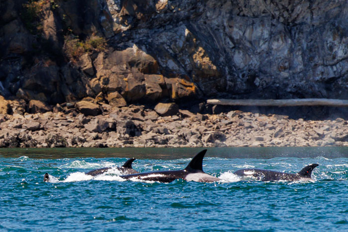 San Juan Islands