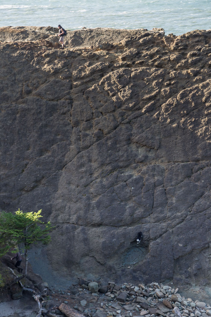 Shore Acres and Sunset Bay State Park