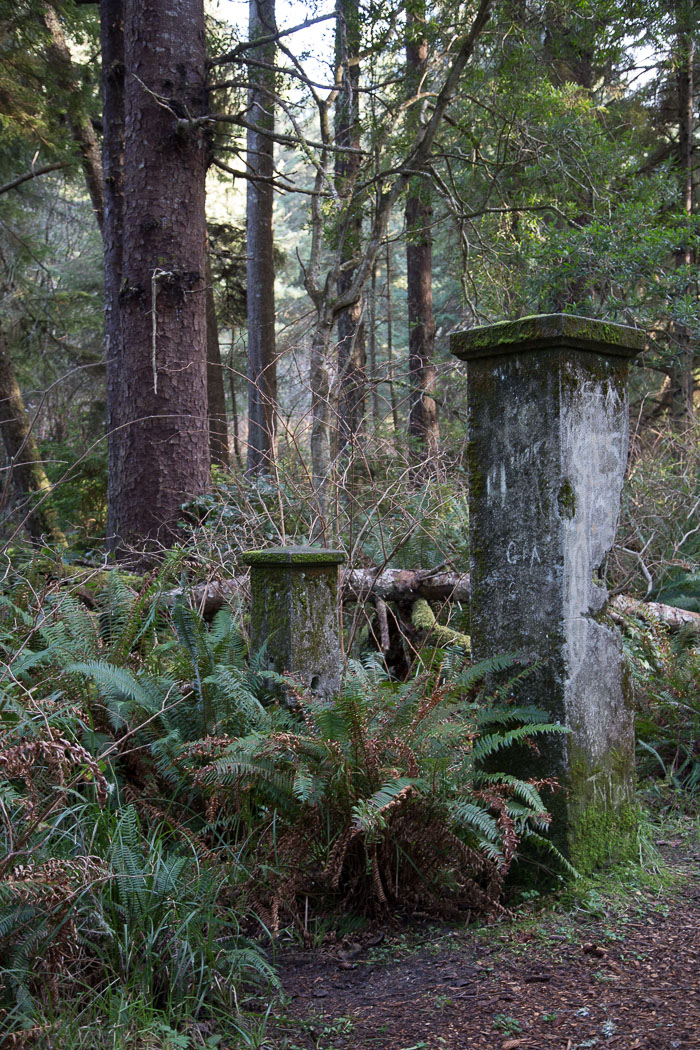Shore Acres and Sunset Bay State Park